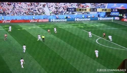 718.st娱乐吃瓜,揭秘娱乐圈最新吃瓜事件