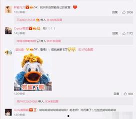 吃瓜娱乐网,揭秘娱乐圈最新热点，带你领略明星幕后故事