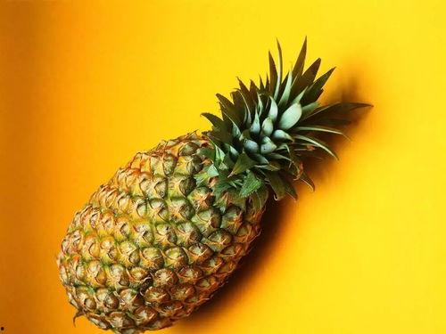 娱乐吃瓜小菠萝小说,小菠萝的吃瓜日常