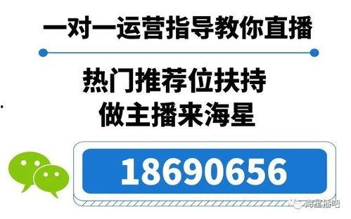 娱乐吃瓜直播怎样加入公会,揭秘娱乐直播加入公会全攻略